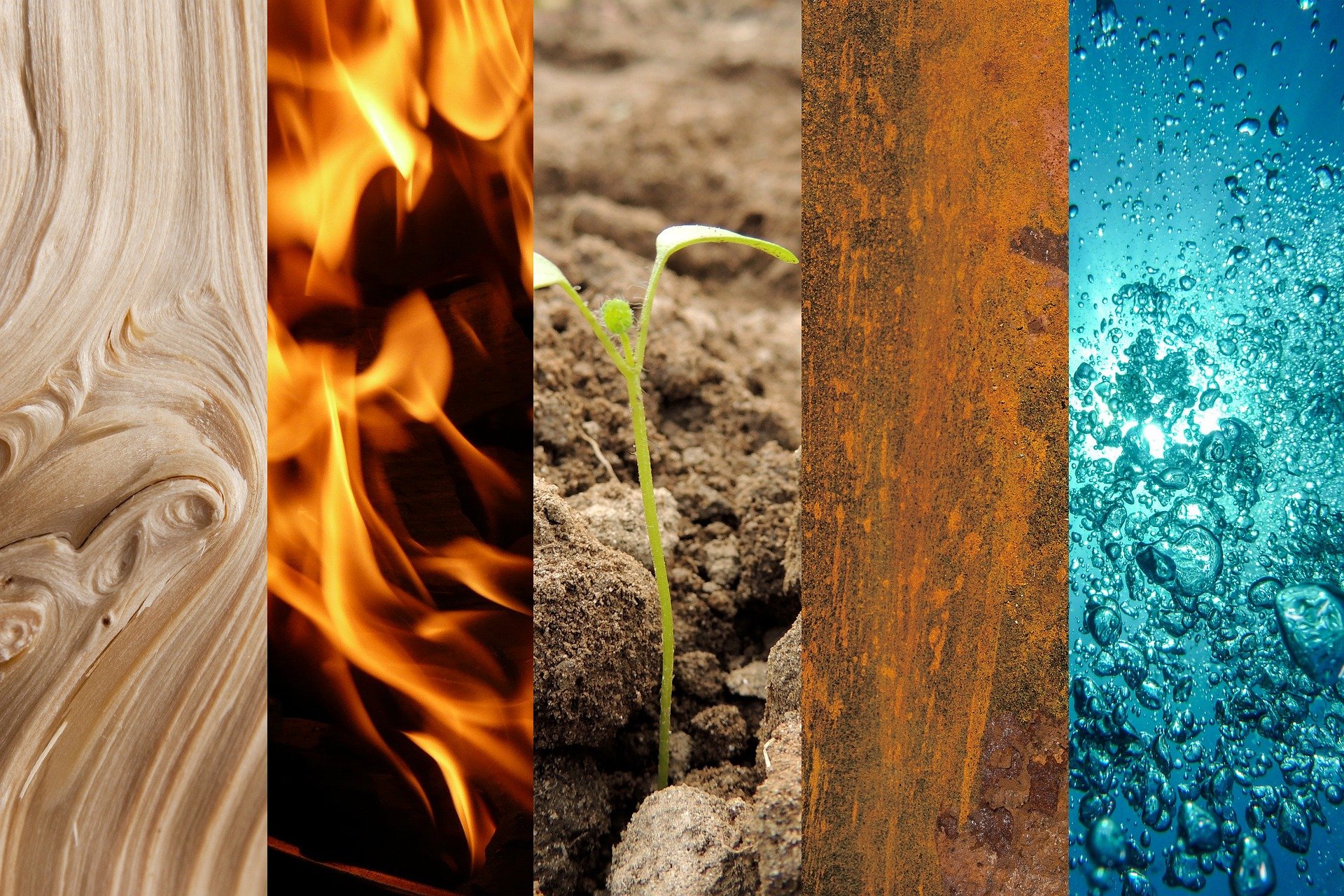 Die fünf Elemente: Holz, Feuer, Erde, Metall, Wasser